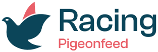 racing-pigeonfeed
