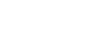 racing-pigeonfeed