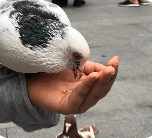 Supplements & Hydration